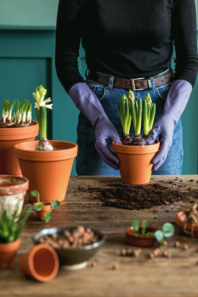 As the cooler weather starts to roll in, it's the perfect time to give your garden a little TLC before winter sets in. If you're based in Cramlington and love gardening, you'll know that autumn is the season to prepare your plant pots for next spring. Properly caring for your pots now will save you time and effort later, giving your garden the best chance to thrive as soon as the warmer months arrive. Why Emptying Your Plant Pots Now is Essential When the summer flowers fade and the frost starts to creep in, it's tempting to leave your plant pots as they are. But, leaving them full of old soil and plants can lead to problems down the line. Soil that has been used throughout the season becomes compacted and loses its nutrients, making it harder for new plants to grow in the spring. Not to mention, pots left outside with soil and dead plants can crack and deteriorate over the cold months, especially in Cramlington’s frosty winters. Steps to Prep Your Plant Pots for Spring Clear out old plants – Start by removing any dead or dying plants from your pots. If the plants are healthy, they can be composted. Make sure to discard any diseased plants to prevent spreading issues to next year’s garden. Empty the soil – Soil can get tired, so it's best to empty your pots completely. If you have large pots, you can reuse the soil in your garden beds, but for smaller pots, consider starting fresh in the spring. Clean your pots – Give your pots a good scrub with water and a brush. Cleaning off any dirt, algae, or pests will ensure they’re ready for new plants next year. This step is especially important for terracotta pots, which can absorb moisture and crack if left uncleaned. Store your pots – If possible, store your pots indoors or in a shed. This will protect them from the worst of the winter weather. If you need to leave them outside, try raising them off the ground to prevent water from freezing inside. Plan for spring – Now that your pots are empty and clean, start thinking about what you’d like to plant in the spring. Whether it’s vibrant flowers or practical herbs, having a plan means you'll be ready to start as soon as the weather warms up. Why You Should Prepare Early By getting your pots ready now, you're giving yourself a head start for the next growing season. When spring arrives, you'll be able to focus on planting rather than cleaning and preparing. Plus, well-maintained pots last longer, saving you the cost and hassle of replacing them every year. At Cramlington Gardening Services, we’re here to help make your gardening tasks easier. Whether you need help emptying your pots, preparing your beds, or creating a new garden design for next year, we offer professional gardening services across Cramlington. Get in touch with us to ensure your garden is in top shape for the coming seasons. Need Help with Your Garden? Preparing your plant pots is just one part of getting your garden ready for spring. If you need expert help with more detailed gardening tasks, Cramlington Gardening Services can assist you. Whether it's clearing beds, planting bulbs, or a full garden overhaul, we are the local experts you can rely on. Contact us today to book a consultation and ensure your garden is ready to bloom next year!