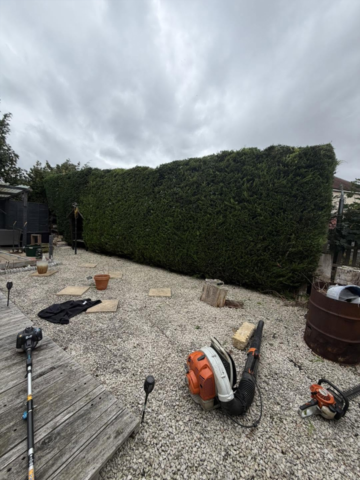 Hedge after