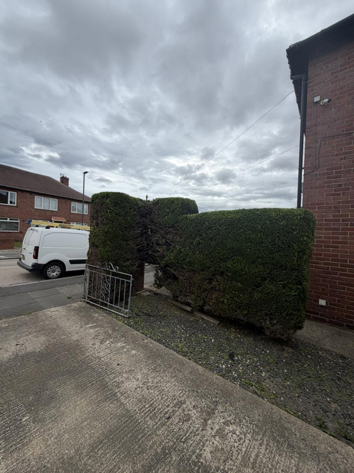 Hedge after