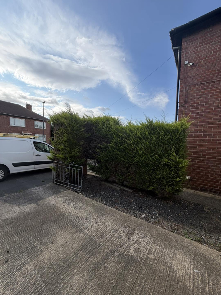 Hedge before